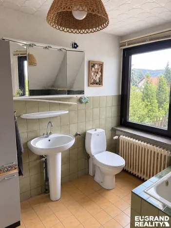 Prodej rodinného domu, Dresden, Německo, Sobrigener str., 180 m2