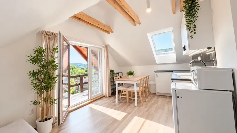 Pronájem bytu 2+kk, Bříství, 45 m2