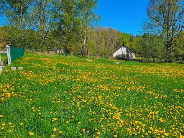 Dražba pozemku pro bydlení, Omlenice, 4505 m2
