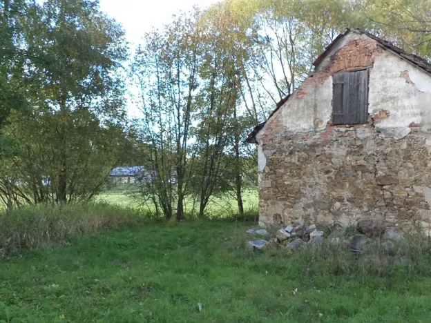 Dražba louky, Žďár, 160 m2