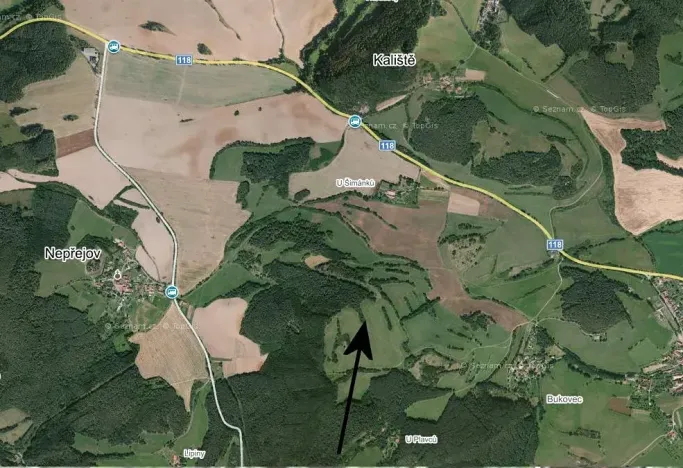 Dražba lesa, Dolní Hbity, 14259 m2