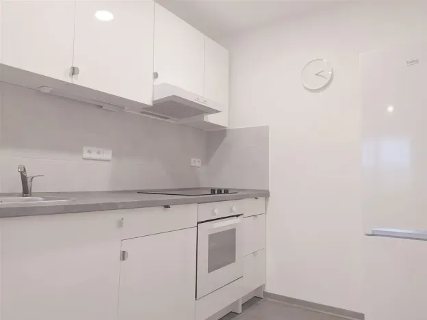 Pronájem bytu 2+kk, Mladá Boleslav, Jana Palacha, 44 m2