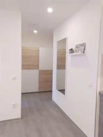 Pronájem bytu 2+kk, Mladá Boleslav, Jana Palacha, 44 m2