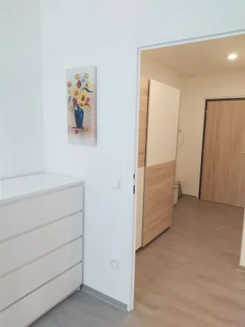 Pronájem bytu 2+kk, Mladá Boleslav, Jana Palacha, 44 m2