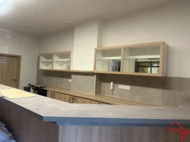 Pronájem ordinace, Napajedla, Dr. Beneše, 375 m2