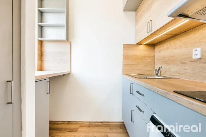 Prodej bytu 1+kk, Brno, Vídeňská, 30 m2