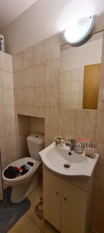 Pronájem bytu 1+kk, Opava - Předměstí, Olbrichova, 30 m2