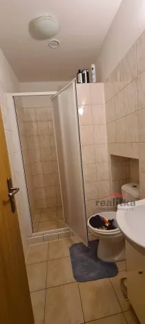 Pronájem bytu 1+kk, Opava - Předměstí, Olbrichova, 30 m2