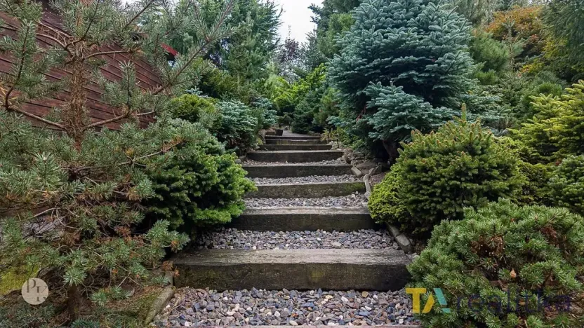 Prodej pozemku pro bydlení, Orlová, U Vodojemu, 2132 m2