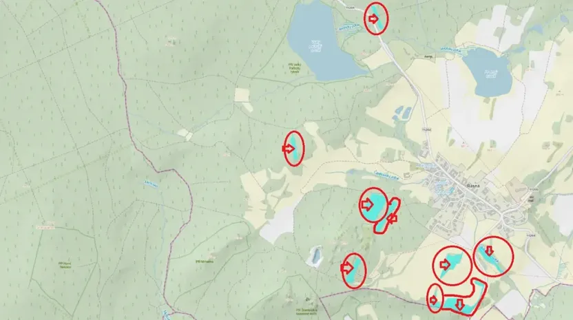 Prodej podílu lesa, Řásná, 3197 m2