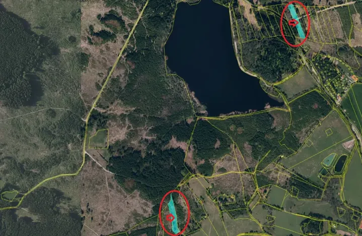 Prodej podílu lesa, Řásná, 3197 m2