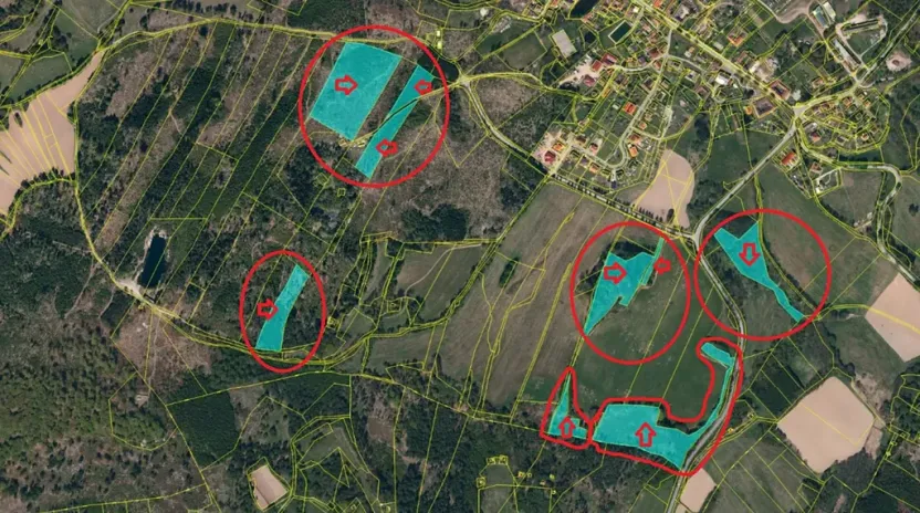 Prodej podílu lesa, Řásná, 3197 m2