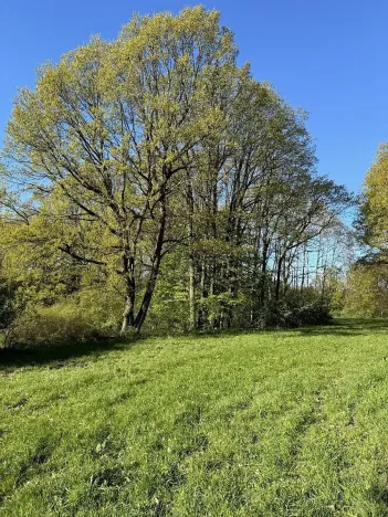 Prodej pozemku, Čížkov, 20250 m2
