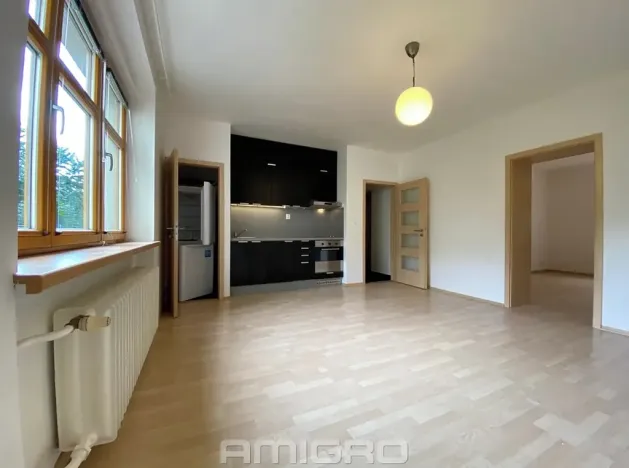 Pronájem bytu 2+kk, Brno, Obilní trh, 46 m2