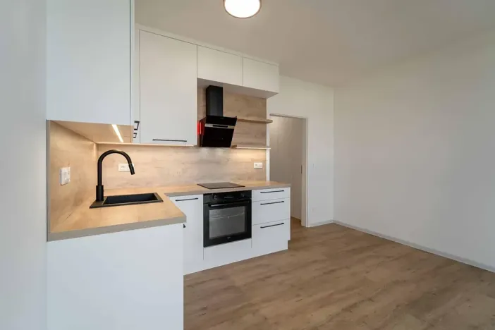 Pronájem bytu 1+kk, Olomouc, Aloise Rašína, 29 m2