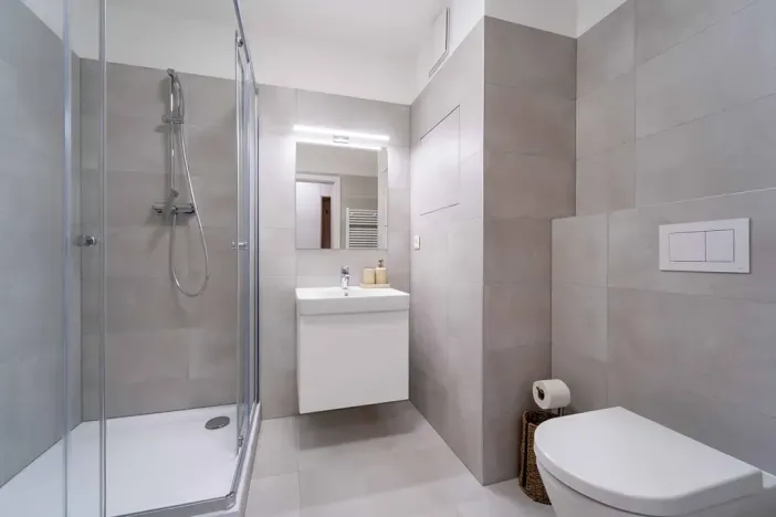 Pronájem bytu 1+kk, Olomouc, Aloise Rašína, 29 m2