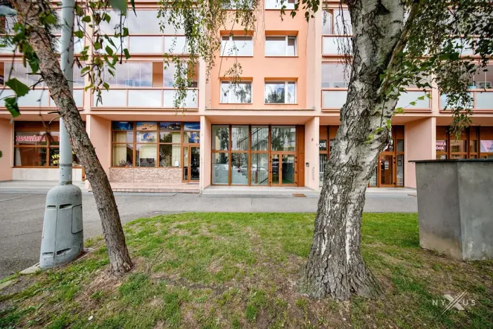 Prodej bytu 3+1, Beroun, Havlíčkova, 85 m2