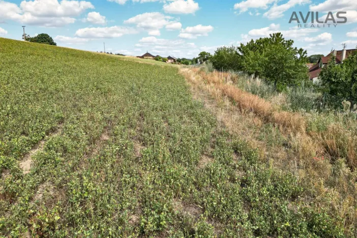 Prodej pozemku pro bydlení, Soběhrdy, Soběhrdy, 7885 m2