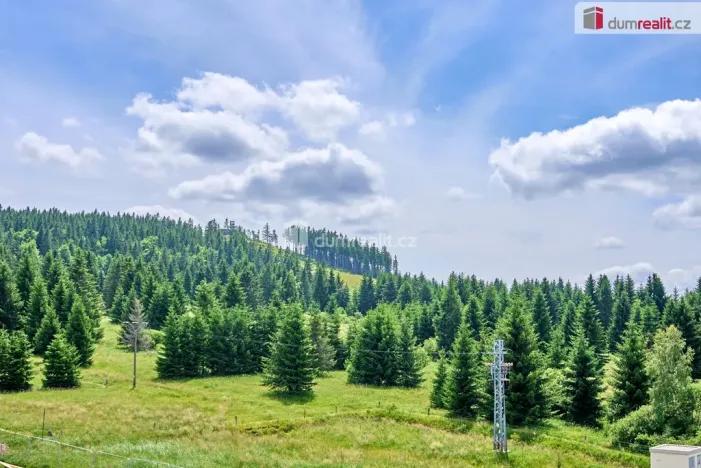 Prodej bytu 3+kk, Abertamy, Plešivecká, 60 m2