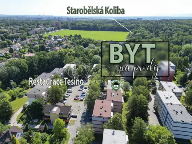 Pronájem bytu 2+kk, Ostrava - Výškovice, Staňkova, 50 m2