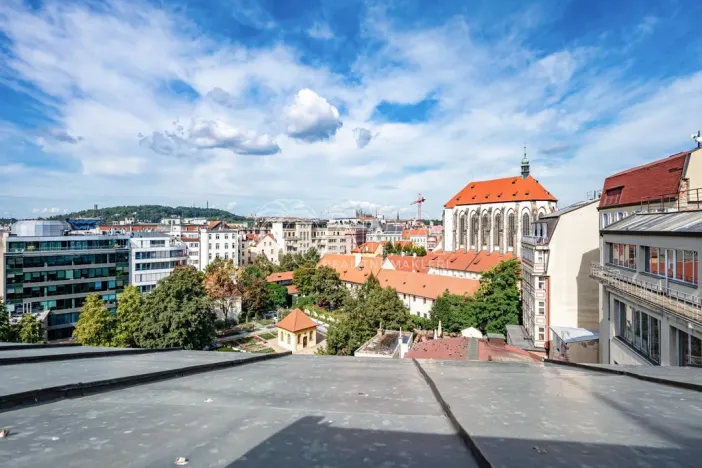Pronájem bytu 5+1, Praha - Nové Město, Vodičkova, 184 m2