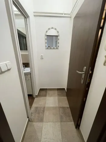 Pronájem bytu 1+kk, Praha - Žižkov, Zelenky-Hajského, 18 m2