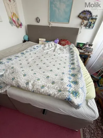 Prodej bytu 2+1, Most, U Věžových domů, 63 m2
