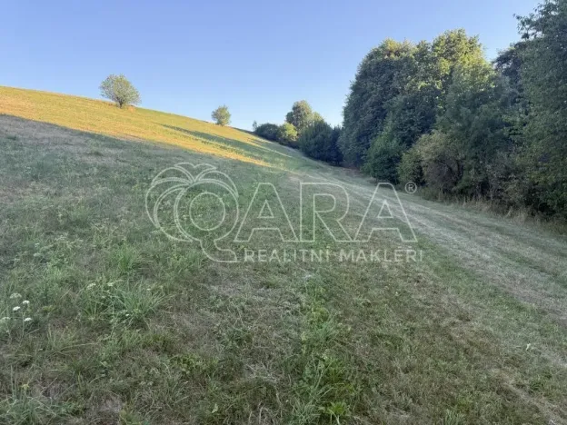Prodej louky, Hostašovice, 101964 m2