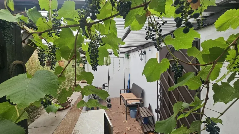 Prodej chaty, Ústí nad Labem - Církvice, 40 m2