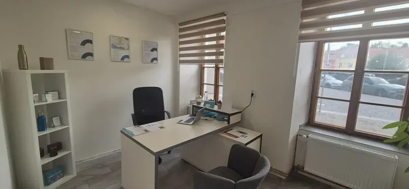Prodej obchodního prostoru, Česká Lípa, Erbenova, 60 m2