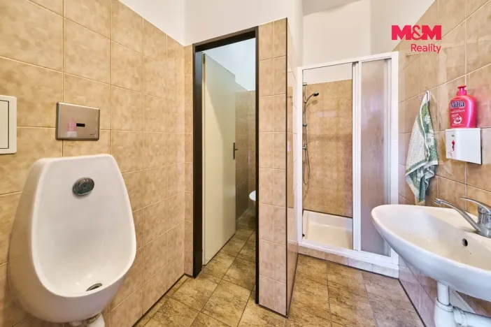 Pronájem výrobních prostor, Dubenec, 453 m2