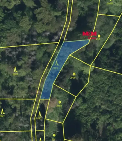 Prodej lesa, Řepníky, 562 m2