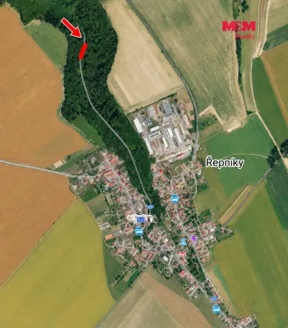 Prodej lesa, Řepníky, 562 m2