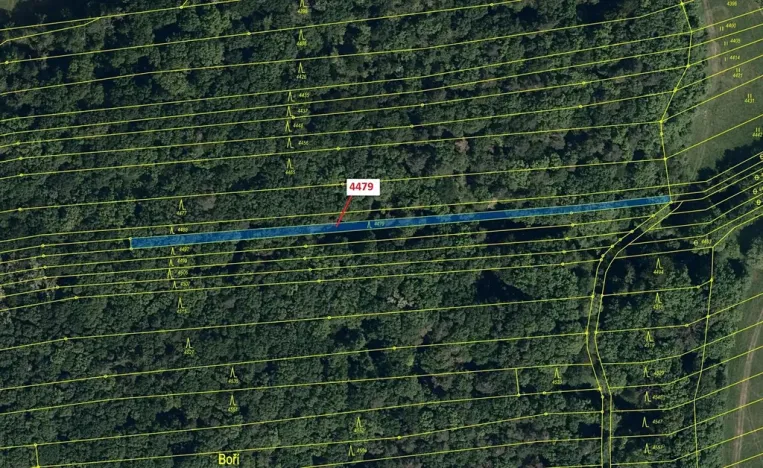 Dražba lesa, Hradčovice, 782 m2