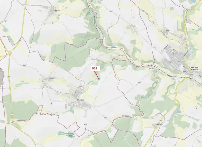 Dražba lesa, Puklice, 4900 m2