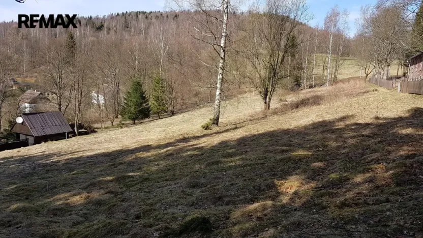 Prodej pozemku pro bydlení, Kraslice, 4558 m2