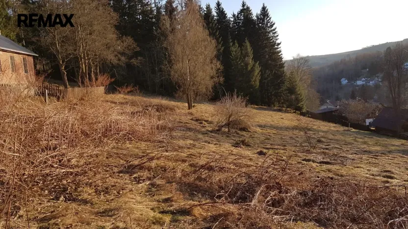 Prodej pozemku pro bydlení, Kraslice, 4558 m2