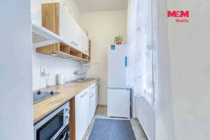 Prodej bytu 1+kk, Plzeň - Východní Předměstí, Plzenecká, 30 m2