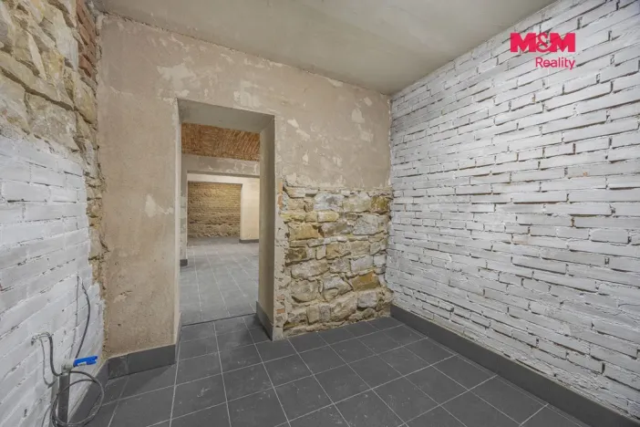 Pronájem komerční nemovitosti, Praha, Seifertova, 100 m2