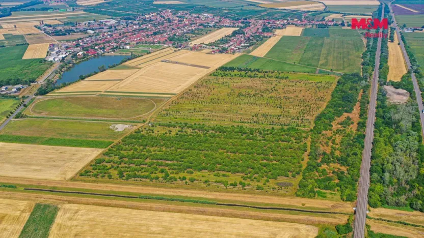 Prodej pole, Rakvice, 12442 m2