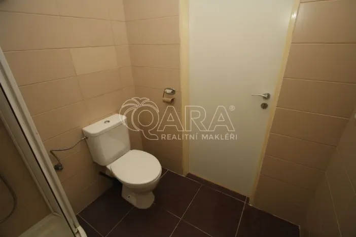 Pronájem bytu 1+kk, Praha - Žižkov, Hartigova, 29 m2