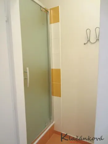 Pronájem bytu 1+kk, Zlín, Štefánikova, 45 m2