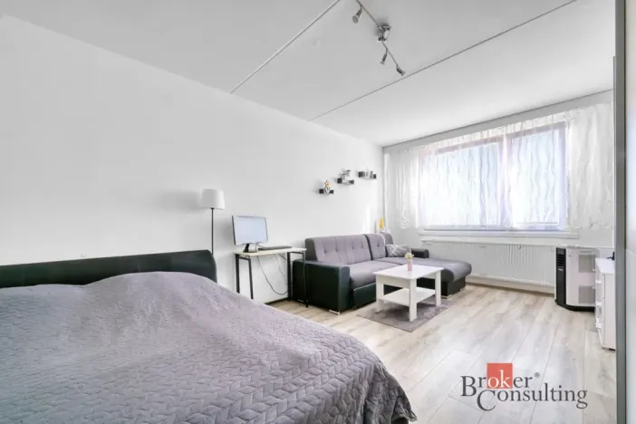 Prodej bytu 1+1, Plzeň - Bolevec, Manětínská, 39 m2