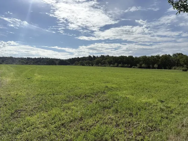Prodej zahrady, Říčany, Do Lehovic, 2317 m2
