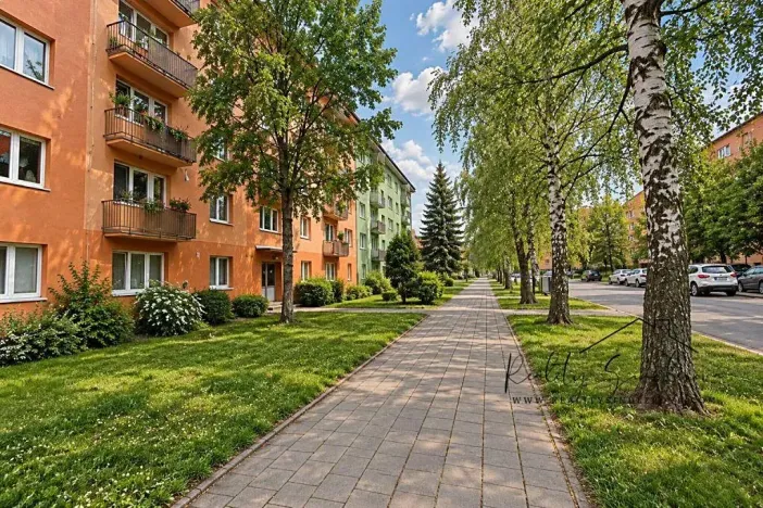 Pronájem bytu 1+1, Přerov, Petřivalského, 39 m2