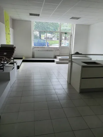 Pronájem obchodního prostoru, Jihlava, Havlíčkova, 60 m2