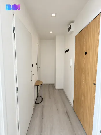 Pronájem bytu 1+kk, Ostrava, Petra Křičky, 25 m2