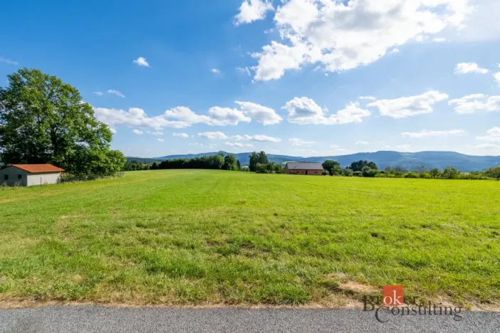 Prodej louky, Chrastava - Horní Chrastava, Frýdlantská, 7126 m2