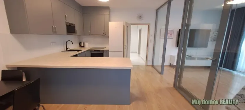 Pronájem bytu 2+1, Praha - Žižkov, Olšanská, 79 m2