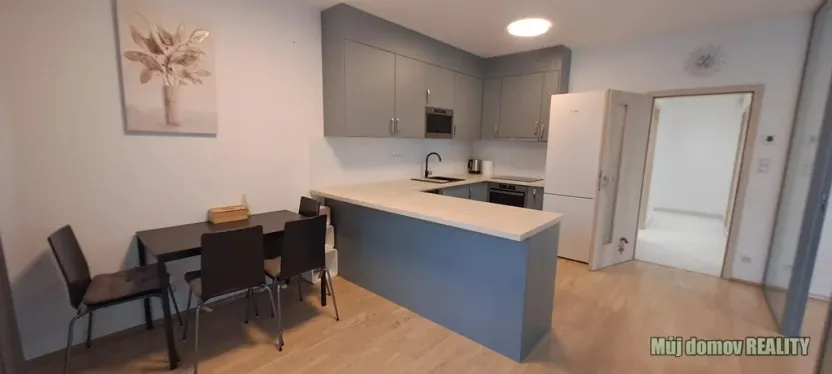 Pronájem bytu 2+1, Praha - Žižkov, Olšanská, 79 m2